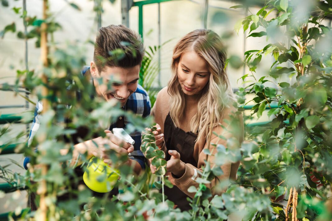 The Role of Big Data in Modern Businesses image,of,two,amazing,gardeners,posing,in,the,nature,greenhouse